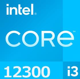 Intel Core i3-12300 processor